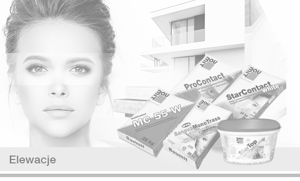 elewacje